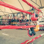 How Much Do Boxing Gloves Cost?
