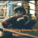 Best Boxing Gloves For Beginners
