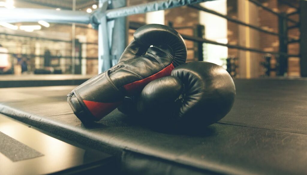 best boxing gloves for beginner