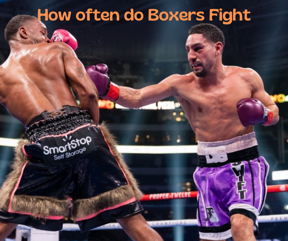 how often do boxers fight
