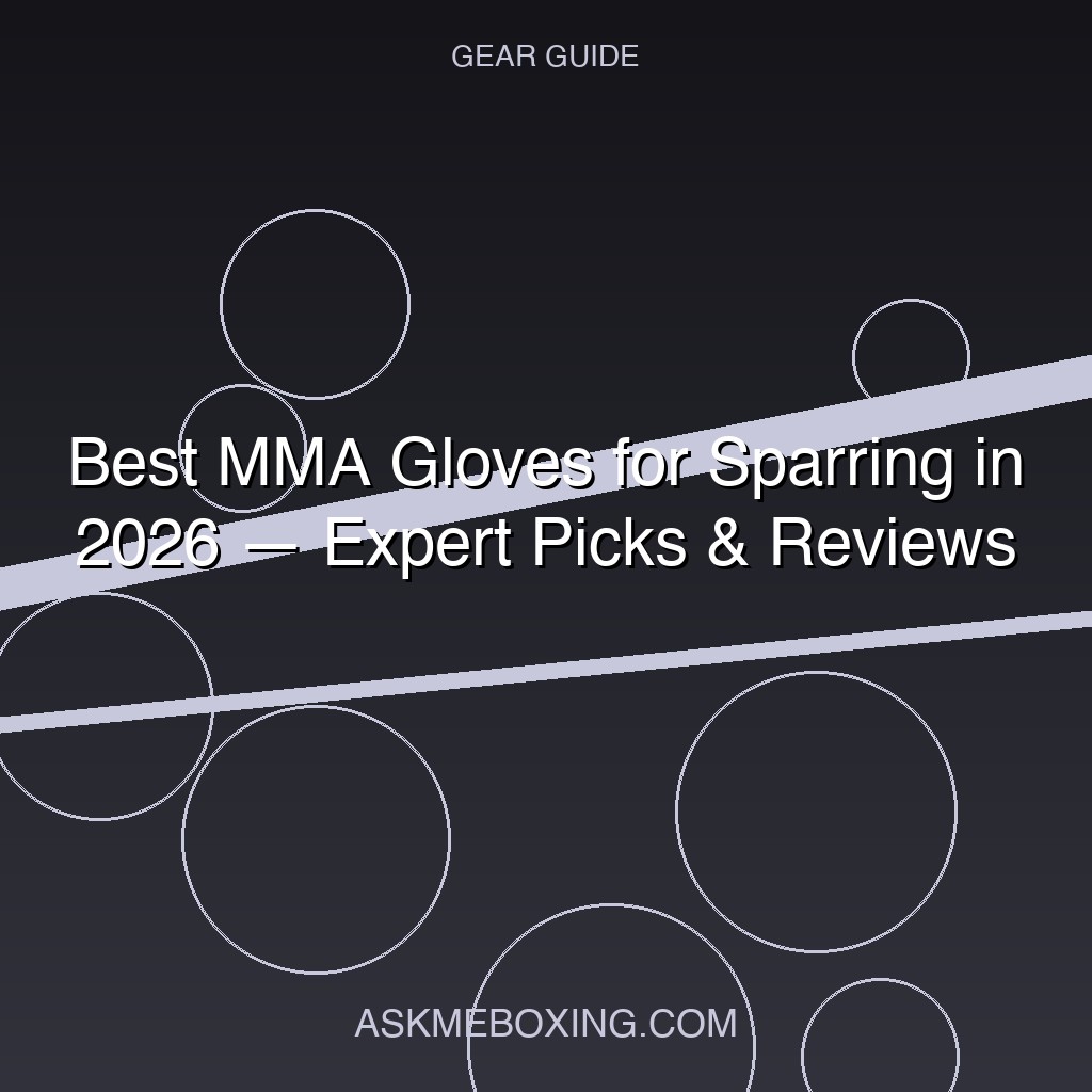 Best Mma Gloves For Sparring