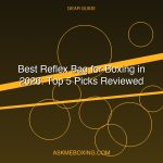 Best Reflex Bags For Boxing