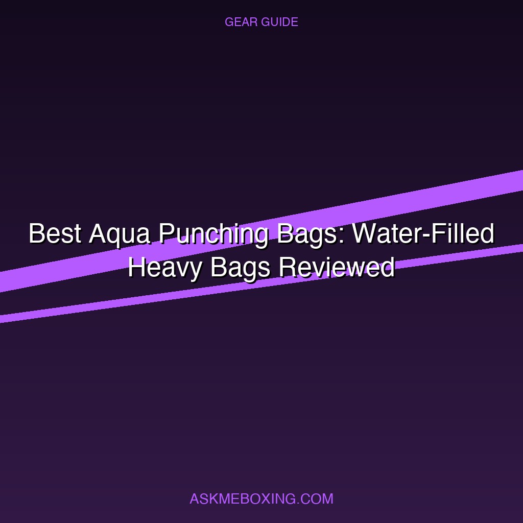 Best Aqua Punching Bags