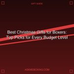 Best Christmas Gifts For Boxers