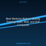 Best Medicine Balls For Boxing Training