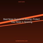 Best Nose Guards For Boxing